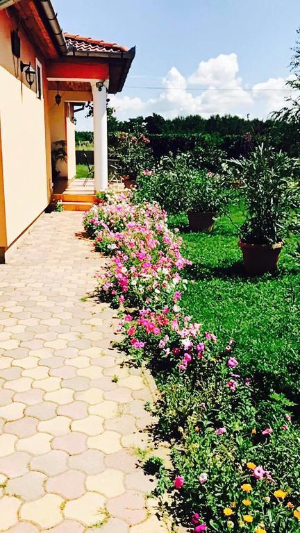 Liget Panzio Hotel Nyirbogdany Esterno foto