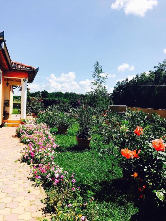 Liget Panzio Hotel Nyirbogdany Esterno foto